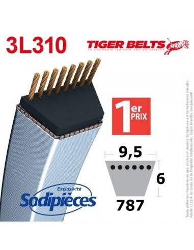Courroie tondeuse 3L310 Tiger Belts. 9,5 mm x 787 m