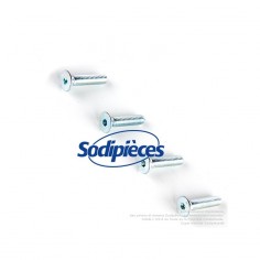 Kit 4 vis 5 x 22 pour tête débroussailleuse alu 4 fils