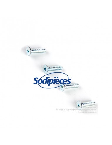 Kit 4 vis 5 x 22 pour tête débroussailleuse alu 4 fils