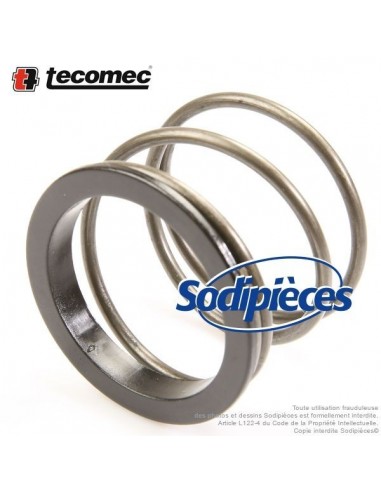 Kit tête débroussailleuse Tecomec Easy Work Ø109 mm. Bague + ressort