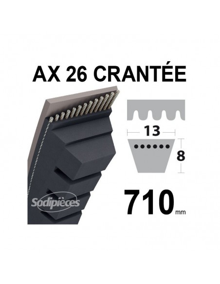 Courroie tondeuse AX26 Trapézoïdale Crantée. 13 mm x 710 mm.