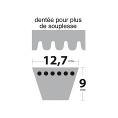 Courroie tondeuse XPA800 Trapézoïdale Crantée. 12,7 mm x 817 mm. 2