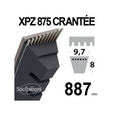 Courroie tondeuse XPZ875 Trapézoïdale crantée. 9,7 mm x 887 mm.