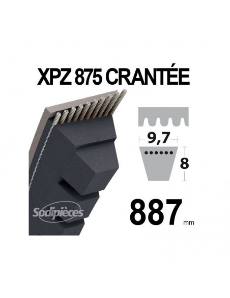 Courroie tondeuse XPZ875 Trapézoïdale crantée. 9,7 mm x 887 mm.