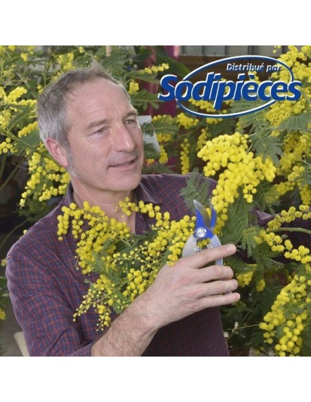 Présentoir sécateur Clarity Bahco Pradines. 12 sécateurs acier trempé. Rose, bleu, vert, orange