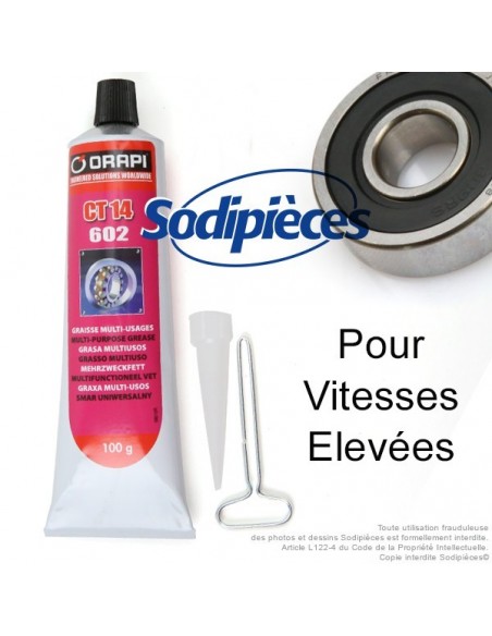 Graisse de roulement. BR2 Plus. Tube 100 g