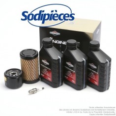 Kit entretien moteur Briggs et Stratton 31, 31R7, 31R8, 31R9 et séries 4 intek I/C OHV. Origine