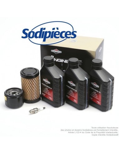 Kit entretien moteur Briggs et Stratton 31, 31R7, 31R8, 31R9 et séries 4 intek I/C OHV. Origine