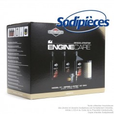 Kit entretien moteur Briggs et Stratton 31, 31R7, 31R8, 31R9 et séries 4 intek I/C OHV. Origine 2