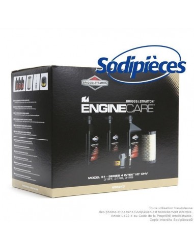 Kit entretien moteur Briggs et Stratton 31, 31R7, 31R8, 31R9 et séries 4 intek I/C OHV. Origine