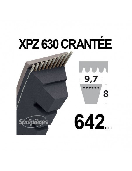 Courroie tondeuse XPZ630 Trapézoïdale crantée. 9,7 mm x 642 mm.