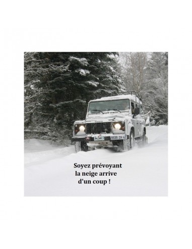 Pelle à neige auto téléscopique