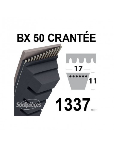Courroie tondeuse BX50 Trapézoïdale crantée. 17 mm x 1337 mm.