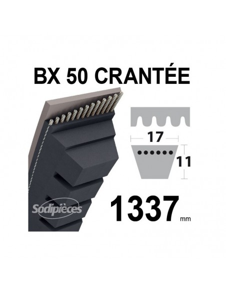 Courroie tondeuse BX50 Trapézoïdale crantée. 17 mm x 1337 mm.