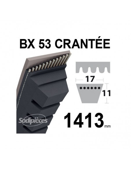 Courroie tondeuse BX53 Trapézoïdale crantée. 17 mm x 1413 mm.