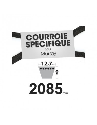 Courroie tondeuse spécifique Murray 37 x 43. 12,7 mm x 2085 mm.