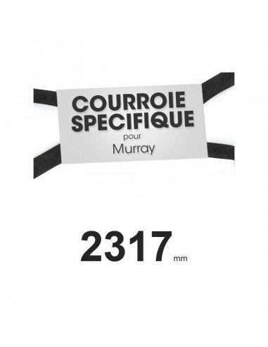 Courroie tondeuse spécifique Murray 37 x 75. Profil W mm x 2317 mm.