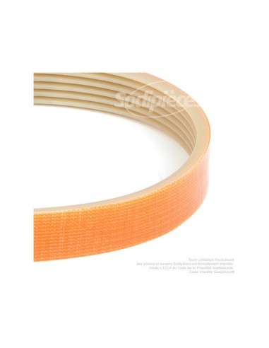 Courroie pour électro portatif 309x14