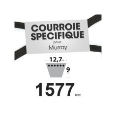 Courroie tondeuse spécifique pour Murray N° 37 x 40, 23748, 37 x 21. 12,7 mm x 1577 mm.