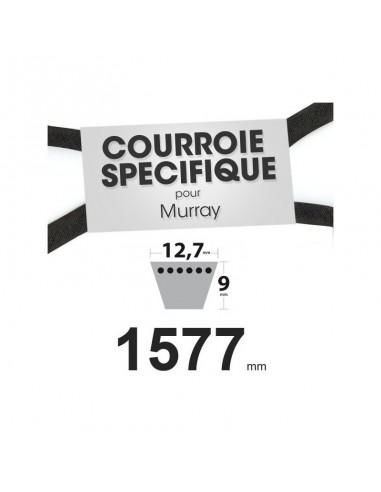 Courroie tondeuse spécifique pour Murray N° 37 x 40, 23748, 37 x 21. 12,7 mm x 1577 mm.