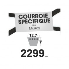 Courroie tondeuse spécifique pour Murray N° 37 x 45. 12,7 mm x 2299 mm.