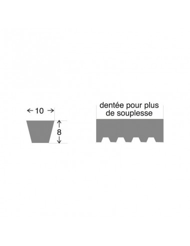 Courroie 10308C spéciale. 9,5 mm x 785 mm.