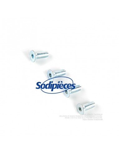 Kit 4 vis 5x12 vis pour tête débroussailleuse alu 2 fils Speed