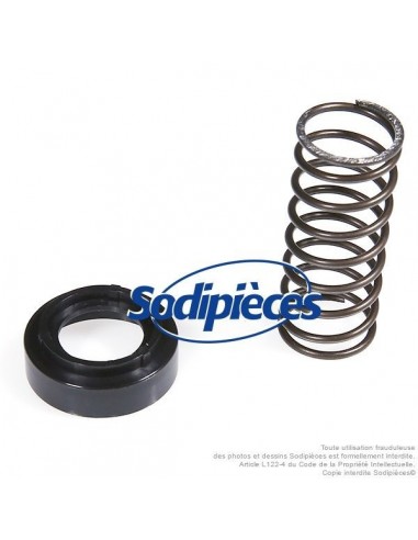 Kit tête débroussailleuse Tecomec Easy Load Ø109 mm. Bague + ressort