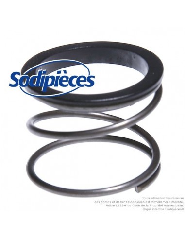 Kit tête débroussailleuse Tecomec Easy Work. Bague + ressort