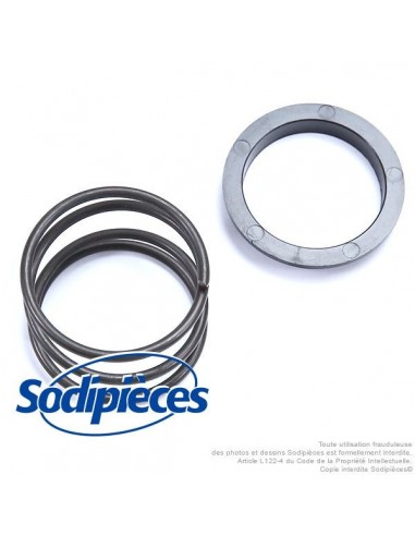 Ressort tête débroussailleuse Oregon Tap'N'Go 109 mm