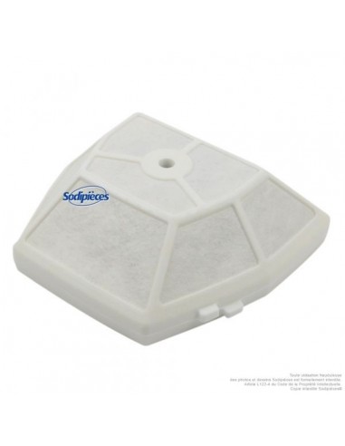 Filtre à air pour Echo 130300-39730