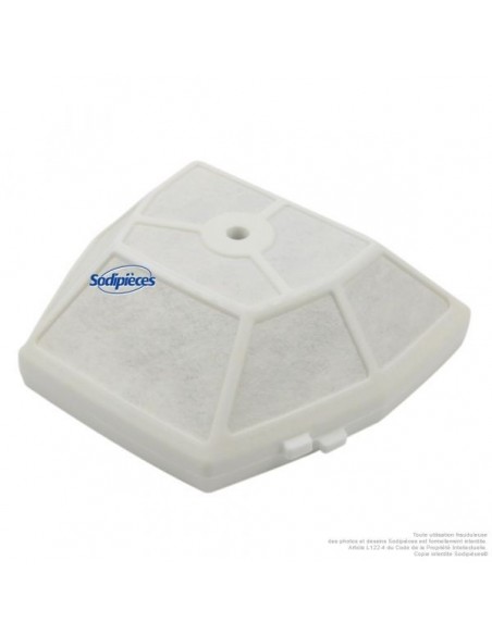Filtre à air pour Echo 130300-39730