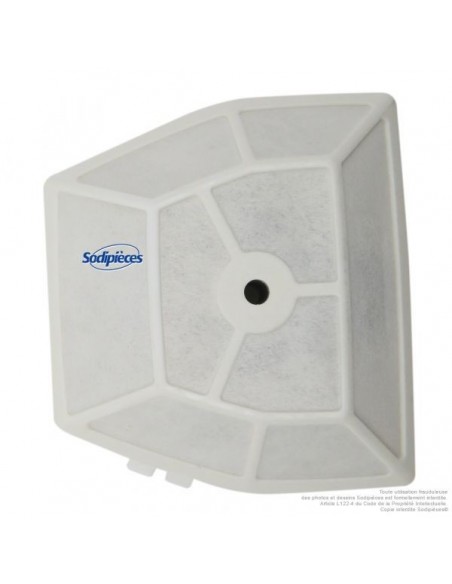 Filtre à air pour Echo 130300-39730