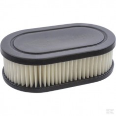 Filtre à air pour Briggs & Stratton 550 séries