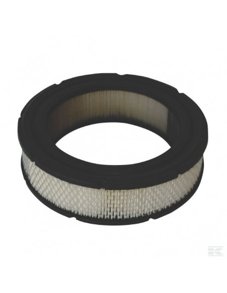 Filtre à air pour Briggs & Stratton 692519, 806232