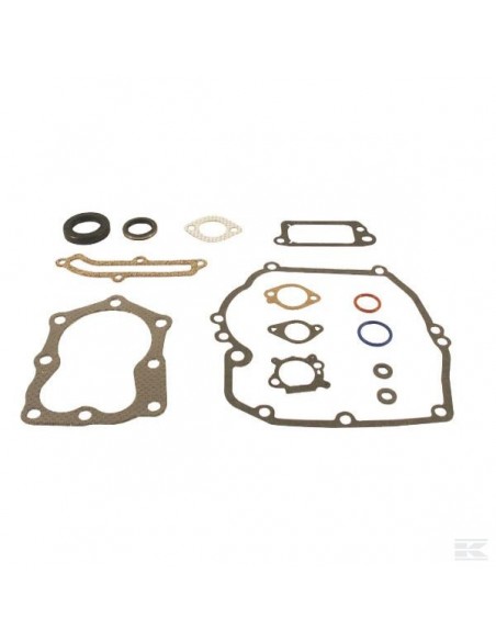 Pochette de joint pour moteur BRIGGS & STRATTON modèles Quantum 12 CID