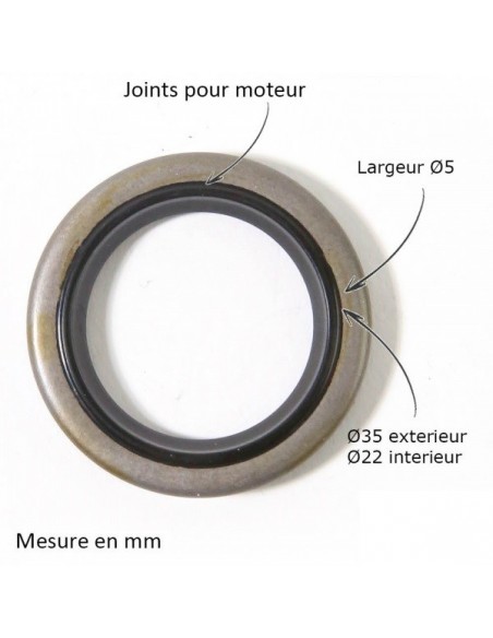 Joint spi pour B&S 299819-89660