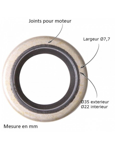 Joint spi pour B&S 391483-291841