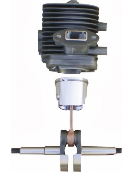 TRONCONNEUSE ACTIVE 62.62