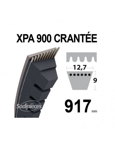 Courroie tondeuse XPA900 Trapézoïdale crantée. 12,7 mm x 917 mm.