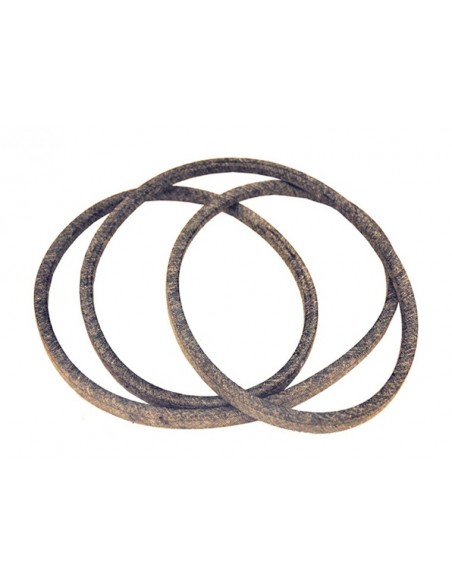 Courroie tondeuse spécifique AYP 126520