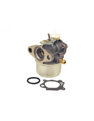 Carburateur vertical pour Briggs & Stratton séries 120, 121, 122, 12E, 12T