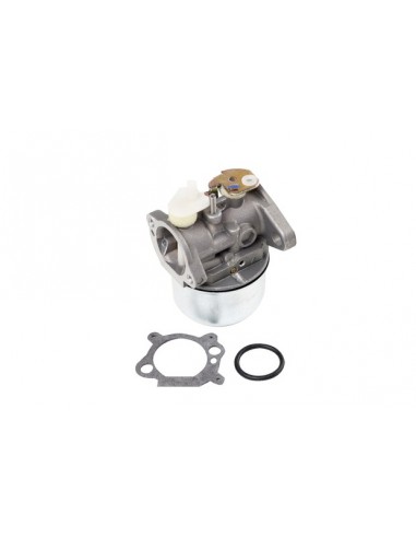 Carburateur vertical pour Briggs & Stratton Modèles séries 121,122, 123 et 125