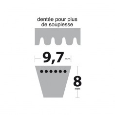 Courroie tondeuse XPZ900 Trapézoïdale crantée. 9,7 mm x 912 mm. 2