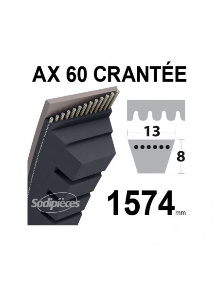 Courroie tondeuse AX53 Trapézoïdale crantée. 13 mm x 1400 mm.