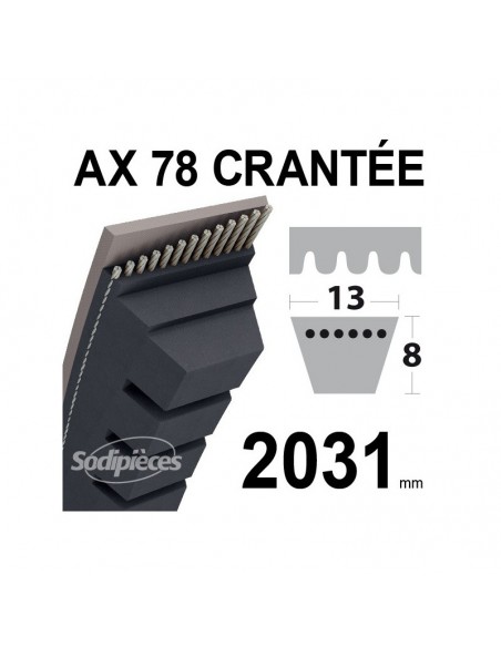 Courroie tondeuse AX53 Trapézoïdale crantée. 13 mm x 1400 mm.