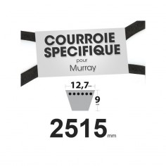 Courroie tondeuse spécifique pour Murray N° 37 x 22. 12,7 mm x 2515 mm