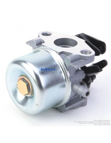 Carburateur pour Briggs & Stratton N°796608