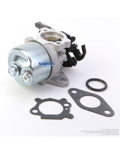 Carburateur pour Briggs & Stratton N°591852