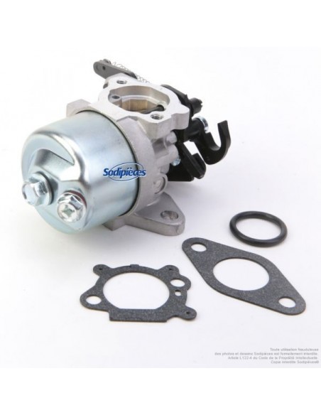 Carburateur pour Briggs & Stratton N°591852